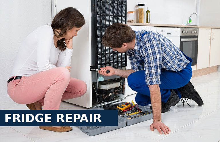 Fridge Repair Shepperton